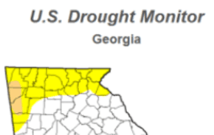 Drought Conditions Returned To Northeast Georgia