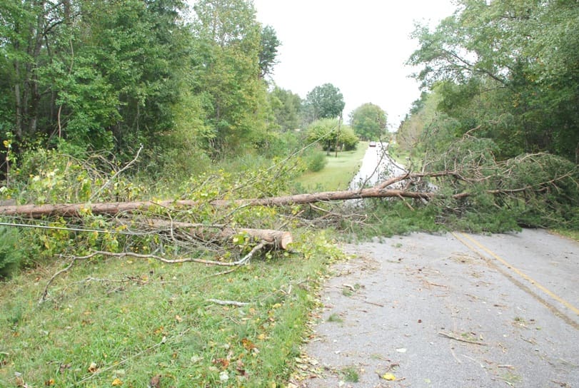 Down tree across Cantrell Road and on power line  in Cleveland 