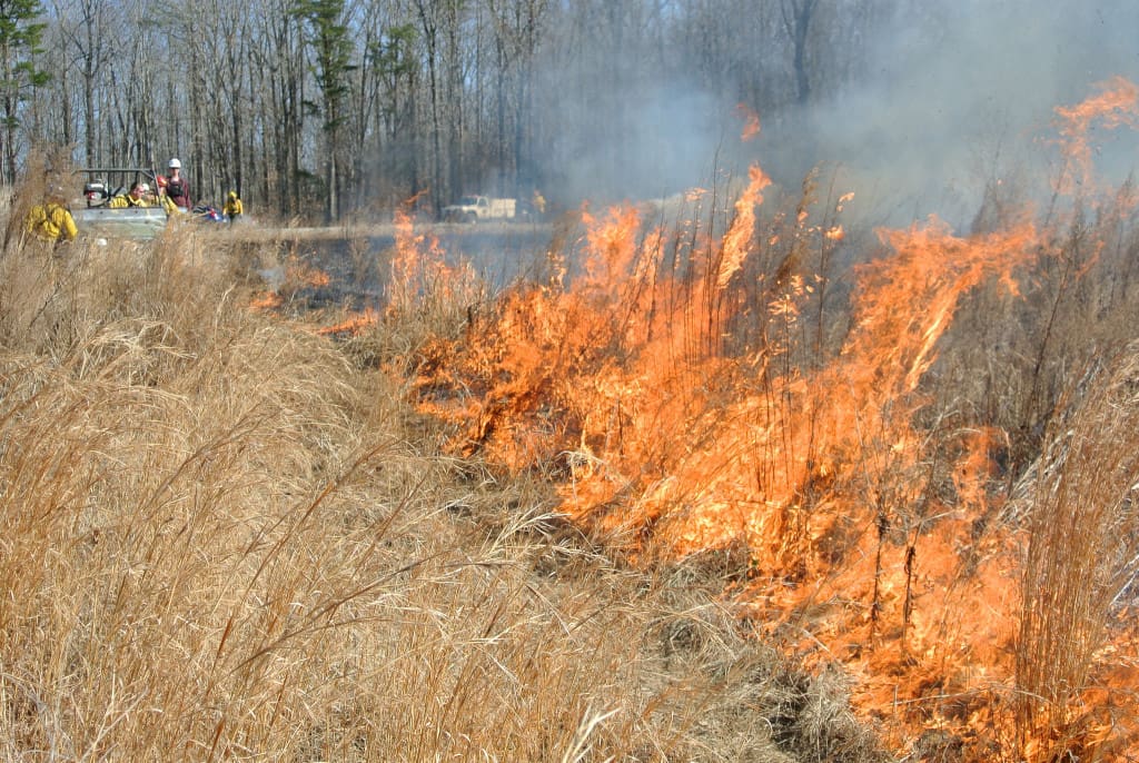Controlled Fire- File Photo
