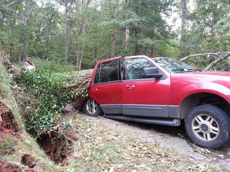 Huge tree falls across SUV off Tesnatee Gap Valley R