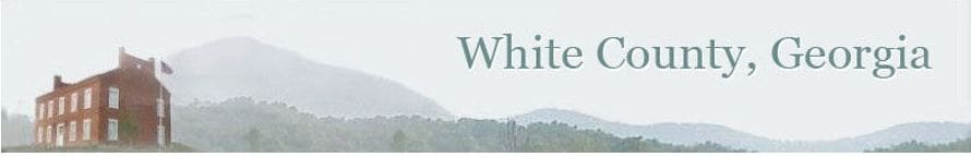 White County Website