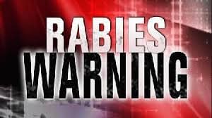 Second Positive Rabies Alert in White County