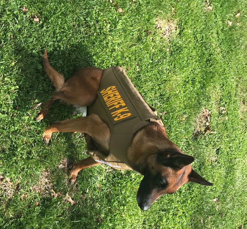 White County SO K9 Gets A New Protective Vest