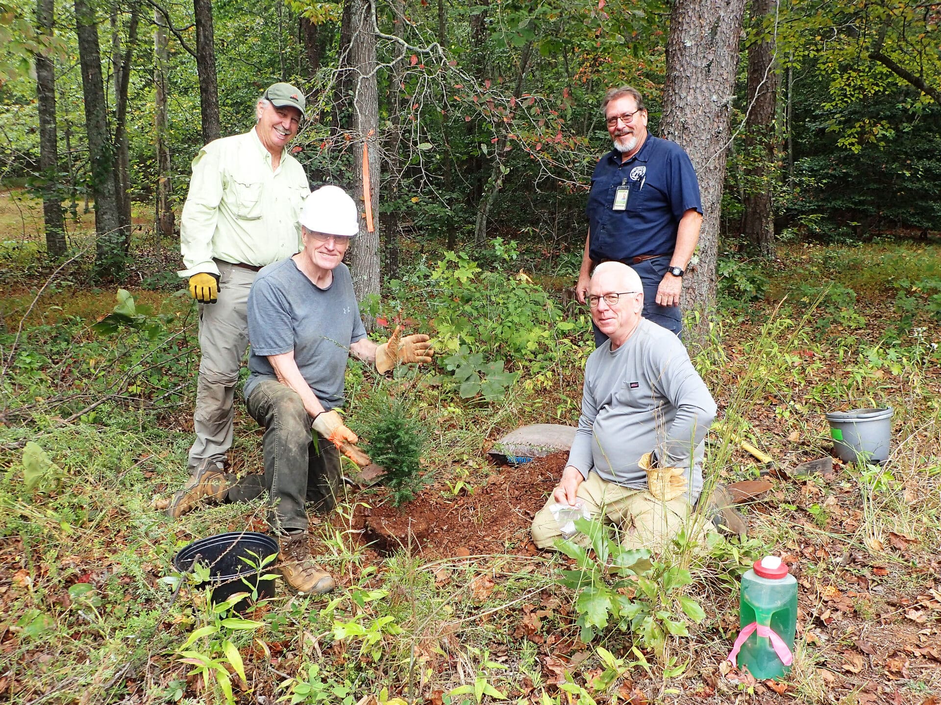 Volunteers Plant Hemlock Trees At Yonah Preserve