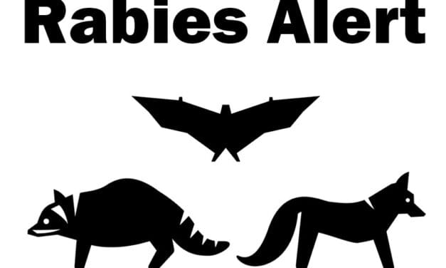 White County Has 18th Confirmed Case of Rabies for the Year