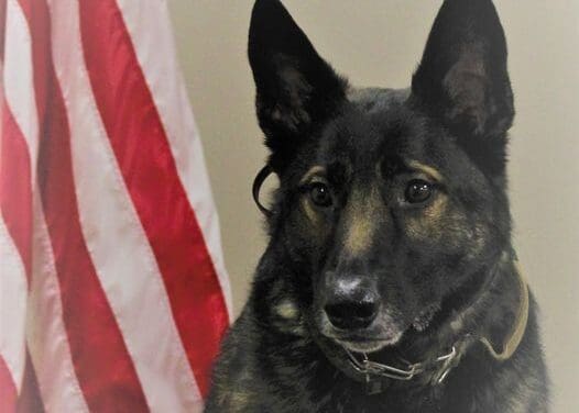 White County K-9 To Receive Protective Vest