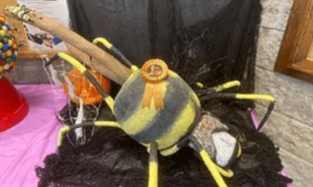 Spider Pumpkin Takes Top Honors In Pumpkin Decorating Contest